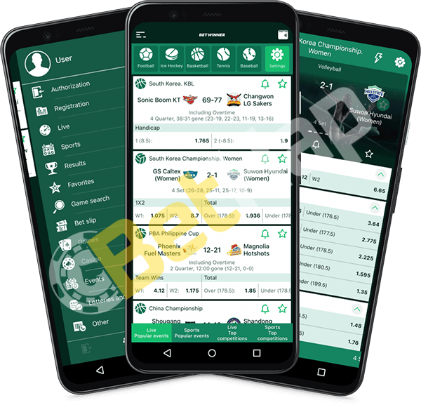 Todo lo que necesitas saber sobre Betwinner afiliados 5 Todo lo que necesitas saber sobre Betwinner afiliados 5